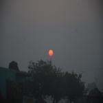 Vraj-Yatra-2014- (1530)